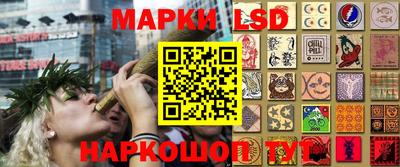 ПСИЛОЦИБИНОВЫЕ ГРИБЫ Бийск