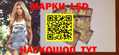 индика Волжск