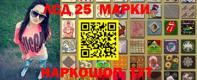 крисы Берёзовский
