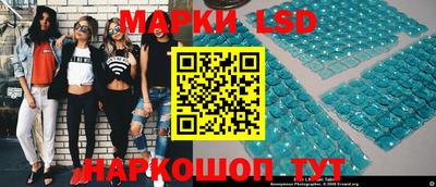 крисы Берёзовский