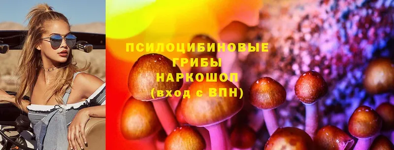 Галлюциногенные грибы GOLDEN TEACHER  Губкин 