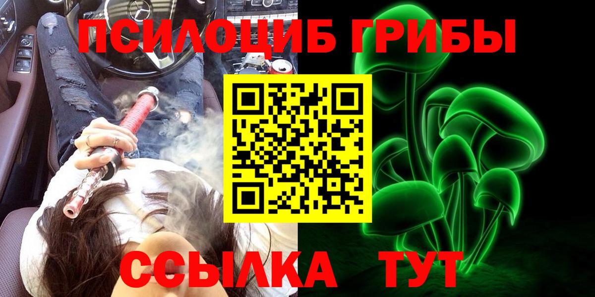 Галлюциногенные грибы мицелий Губкин