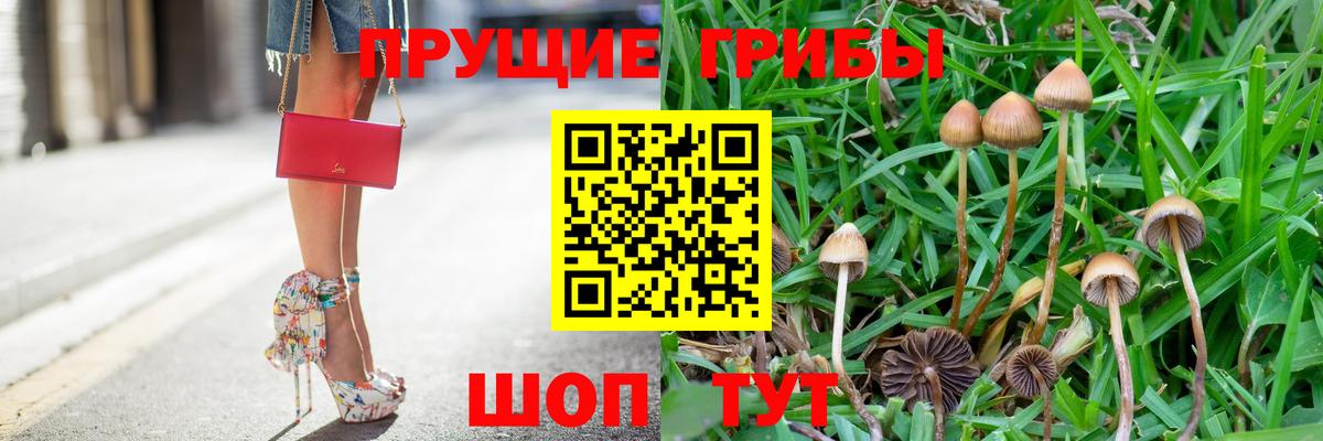 Псилоцибиновые грибы MAGIC MUSHROOMS  Вход с VPN  Галлюциногенные грибы GOLDEN TEACHER  Губкин 