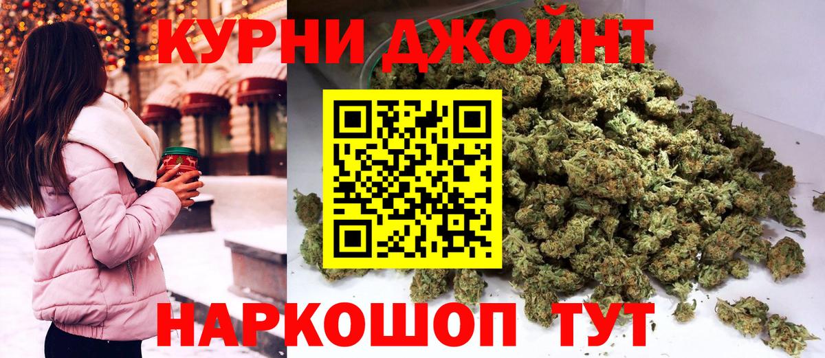 Канабис гибрид Губкин